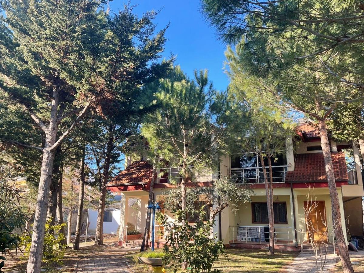 Hotel Garden Villa ARDO Golem  Buitenkant foto